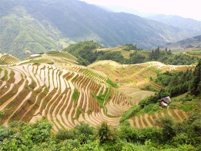 生(shēng)态農(nóng)業(yè)與生(shēng)物(wù)制(zhì)藥技(jì)術(shù)